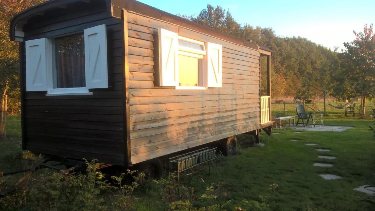 Pipowagen Elsebein Groningen Westerwolde Unieke Ligging Met Eigen Tuin En Vrij Uitzicht Over Veld Naar Natuurgebied Onstwedde Extérieur photo