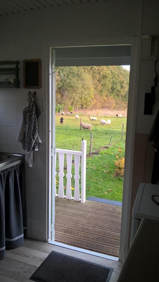 Pipowagen Elsebein Groningen Westerwolde Unieke Ligging Met Eigen Tuin En Vrij Uitzicht Over Veld Naar Natuurgebied Onstwedde Extérieur photo