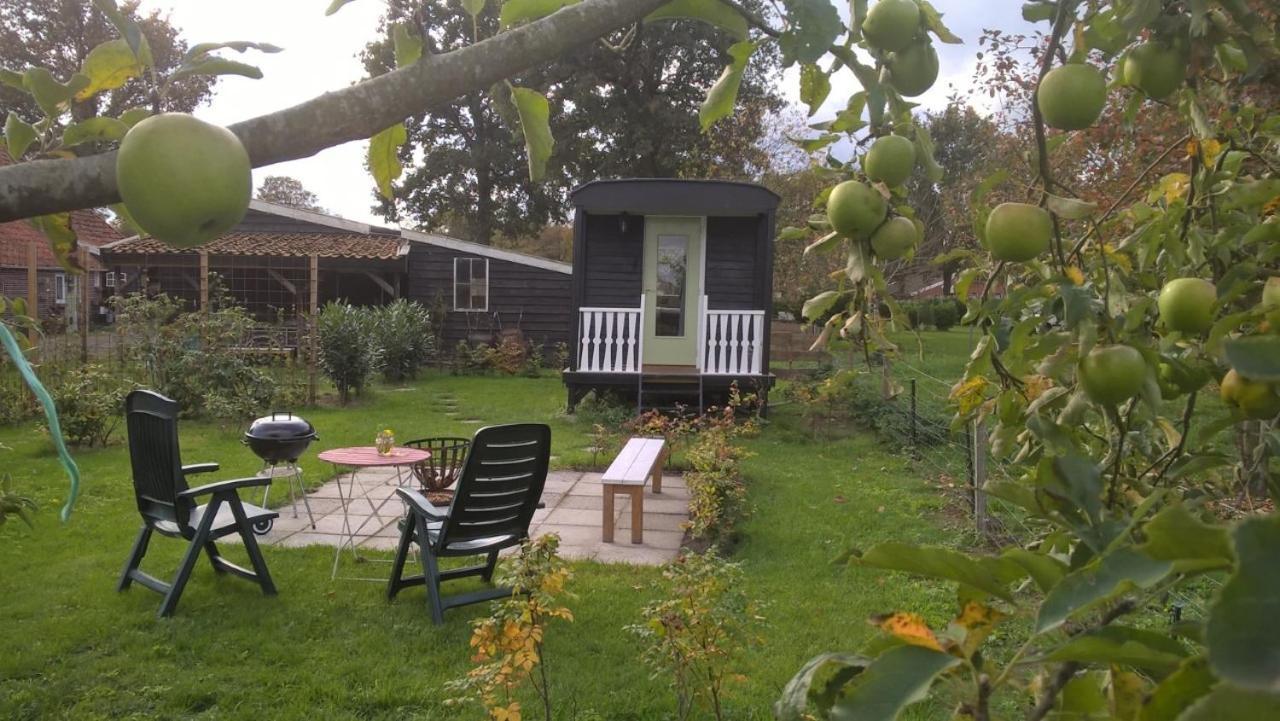 Pipowagen Elsebein Groningen Westerwolde Unieke Ligging Met Eigen Tuin En Vrij Uitzicht Over Veld Naar Natuurgebied Onstwedde Extérieur photo