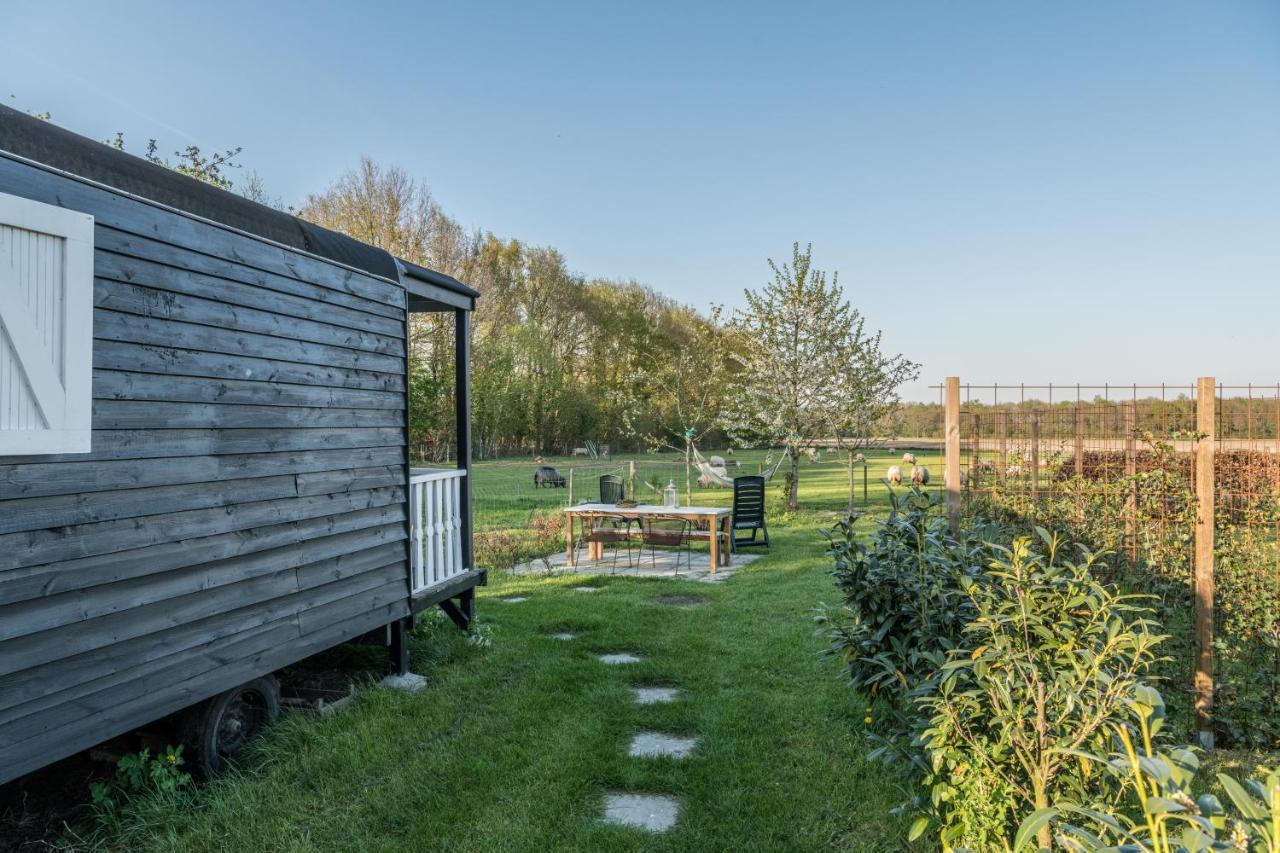 Pipowagen Elsebein Groningen Westerwolde Unieke Ligging Met Eigen Tuin En Vrij Uitzicht Over Veld Naar Natuurgebied Onstwedde Extérieur photo